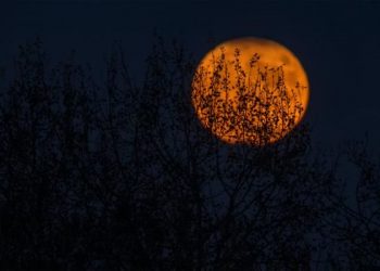 Markets Spooked Into Halloween Weekend