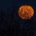 Markets Spooked Into Halloween Weekend