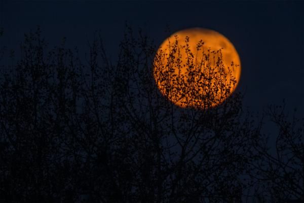 Markets Spooked Into Halloween Weekend