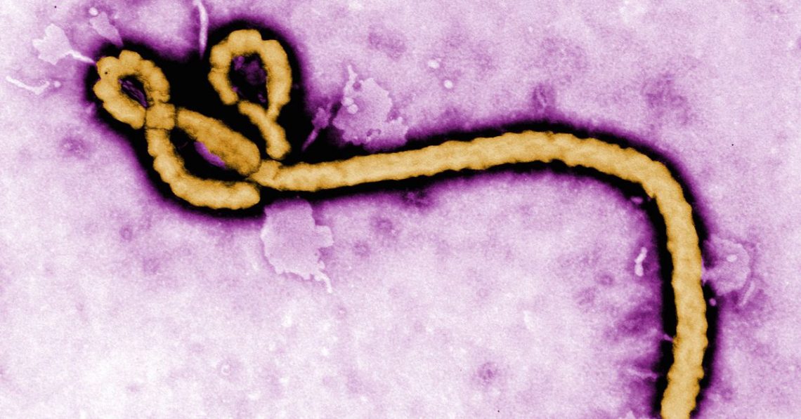 Rapid research in a deadly epidemic pays off