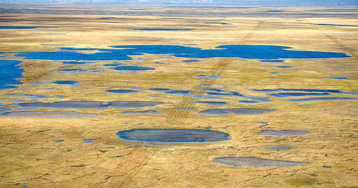 The Public Gets Just Two Weeks to Weigh In on Seismic Testing in the Arctic Refuge