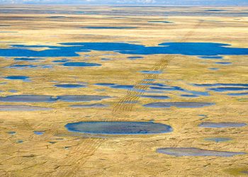 The Public Gets Just Two Weeks to Weigh In on Seismic Testing in the Arctic Refuge