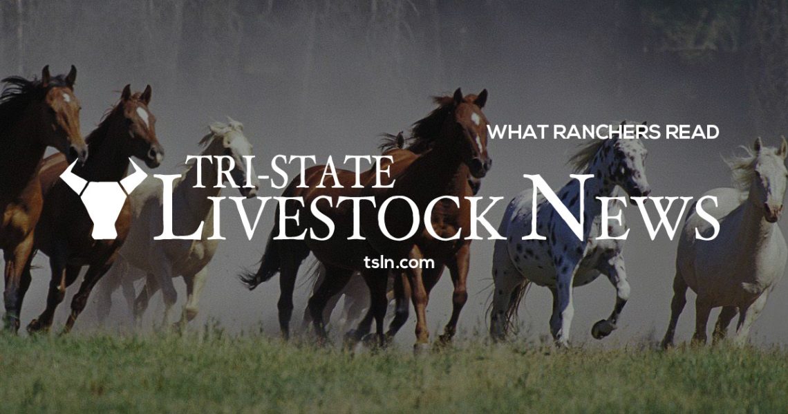 SDSU and partner organizations receive Conservation Collaboration Grant for water quantity risk research