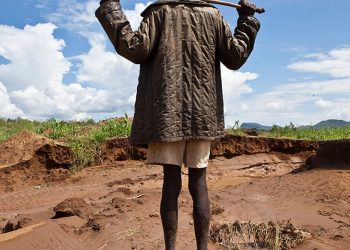Key insights into land degradation from seven African countries