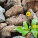 Resilience > Accuracy: Why ‘model resilience’ should be the true metric for operationalizing models