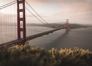 Litecoin, Tron, Zcash Price Analysis: 30 October
