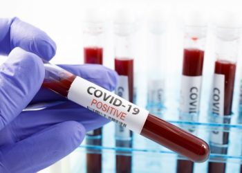 Coronavirus live updates: Florida tops 14,000 deaths as restaurants reopen | Connect FM | Local News Radio