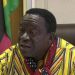 Mnangagwa’s govt to rewrite liberation war history
