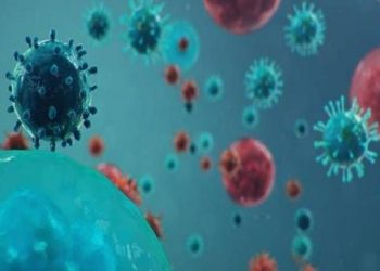 This is the most prominent sign and the virus may deplete…