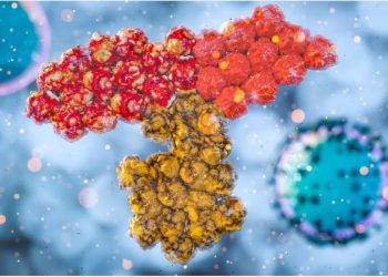 “Immunological imprinting” could influence the antibody response to COVID-19