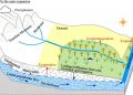 Scientists examine evolutionary features and drivers of groundwater in the oasis…