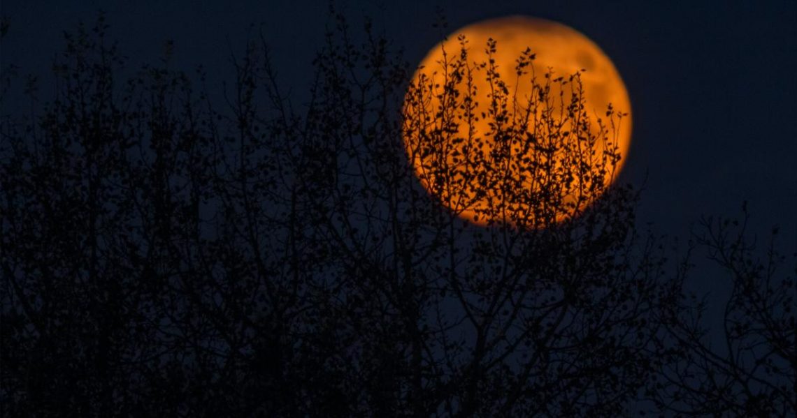Thursday’s Market Minute: Markets Spooked Into Halloween Weekend