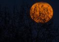 Thursday’s Market Minute: Markets Spooked Into Halloween Weekend