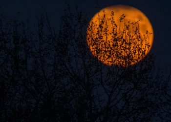 Thursday’s Market Minute: Markets Spooked Into Halloween Weekend