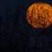 Thursday’s Market Minute: Markets Spooked Into Halloween Weekend