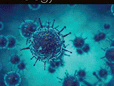 Airborne transmission of SARS‐CoV‐2 via aerosols – Comber – – Reviews in Medical Virology