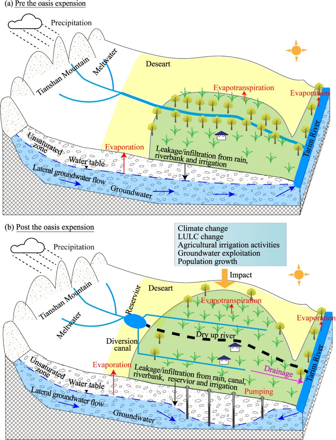 Scientists verify evolution features and drivers of groundwater in oasis of dried-up river in Tarim Basin