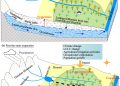 Scientists verify evolution features and drivers of groundwater in oasis of dried-up river in Tarim Basin
