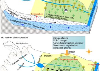 Scientists verify evolution features and drivers of groundwater in oasis of dried-up river in Tarim Basin