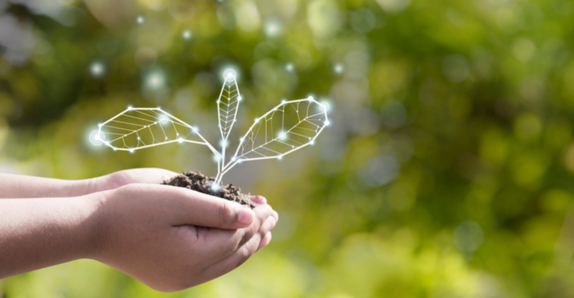 Exploring the Role of the Consumer in Driving Sustainability