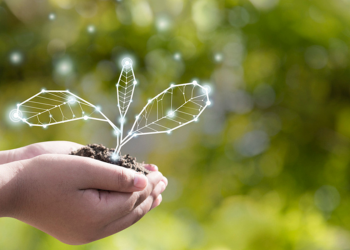 Exploring the Role of the Consumer in Driving Sustainability