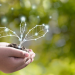 Exploring the Role of the Consumer in Driving Sustainability