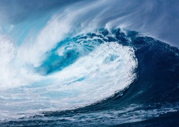 Cardano, Waves, Enjin Price Analysis: 15 October