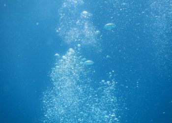 Bitcoin Cash Price Analysis: 17 January