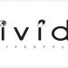 Senior Ecommerce & Digital Marketing Manager job with Vivida Lifestyle