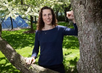 Key to doing your best at work? Be yourself, say experts – Harvard Gazette